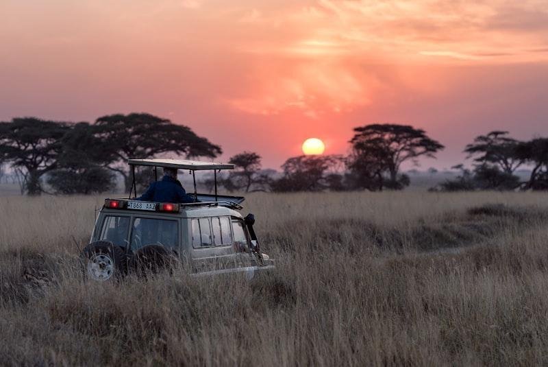 Jim Corbett Weekend Safari — 2N/3D